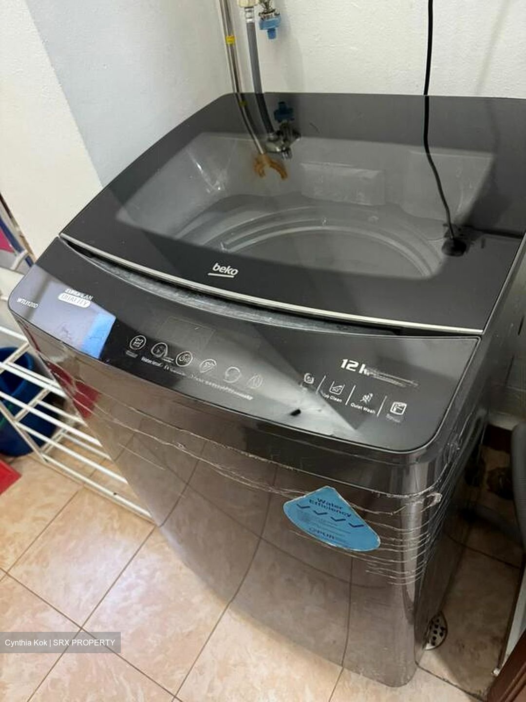 Eastpoint Green (D18), Condominium #454123001